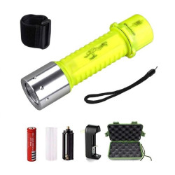 Cree XM-L 900 Lumen Professional Diving Flashlight Waterproof
