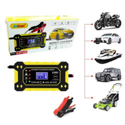 Andowl Q-DP1520 12V Intelligent Rapair Battery Charger