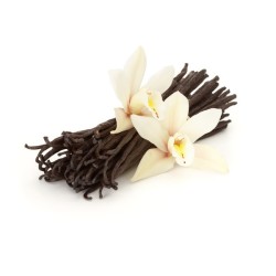 Vanilla Flavor 10 ml
