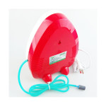 Ozon izer