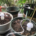 Ceramic Self Automatic Watering Device Plant Drip Irrigation System