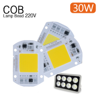 Smart IC Led Chip COB Lamp 30W AC 220V Λειτουργεί Χωρίς Τροφοδοτικό