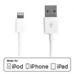 Charger For iPad 4 iPhone 5/ 5S/ 5C