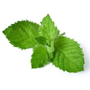 Flavor Menthol 10 ml