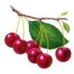 Flavor cherry 10ml