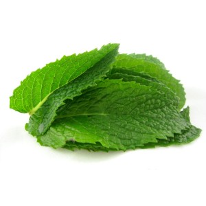 Mint flavor 10ml