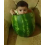 Watermelon flavor 10ml