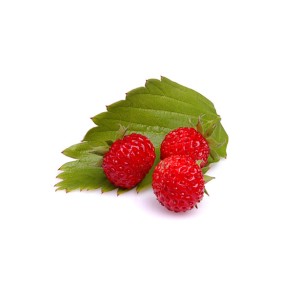 Wild strawberry flavor 10ml